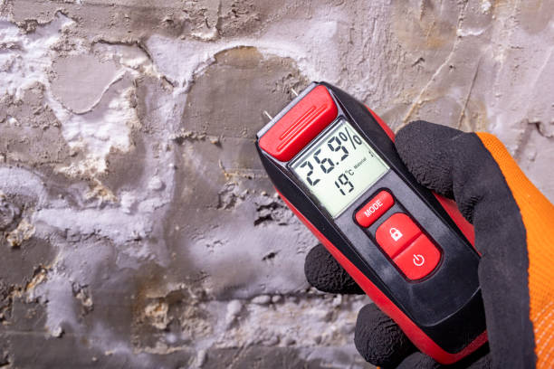Best DIY Mold Remediation Support Services in Summerville, SC